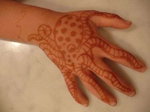 Henna Tattoos - Chris Hecker's Website